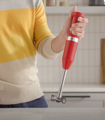 Immersion Blender