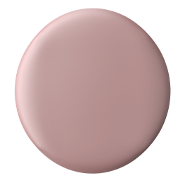 A paint chip featuring the Dried Rose color