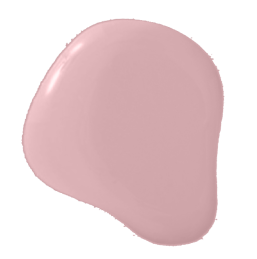 A Dried Rose color swatch