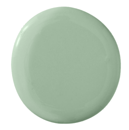 A Pistachio color swatch