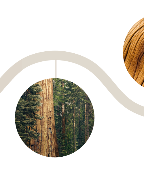 A wavy timeline demonstrating how the design series was chosen.