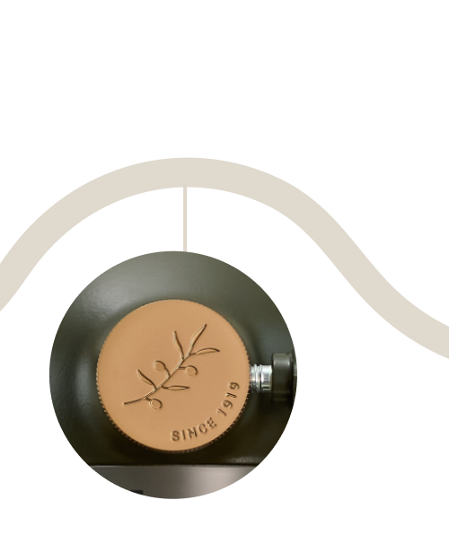 A wavy timeline demonstrating how the design series was chosen.