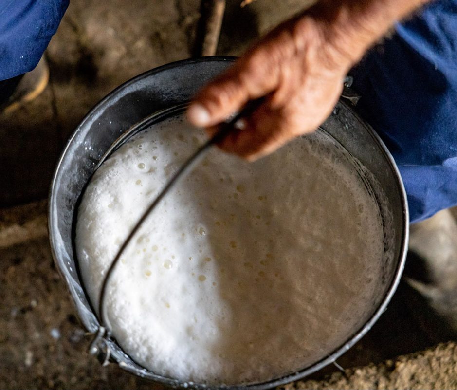 A bucket of fresh milk.