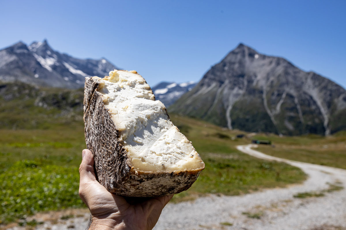 A half wheel of cheese.