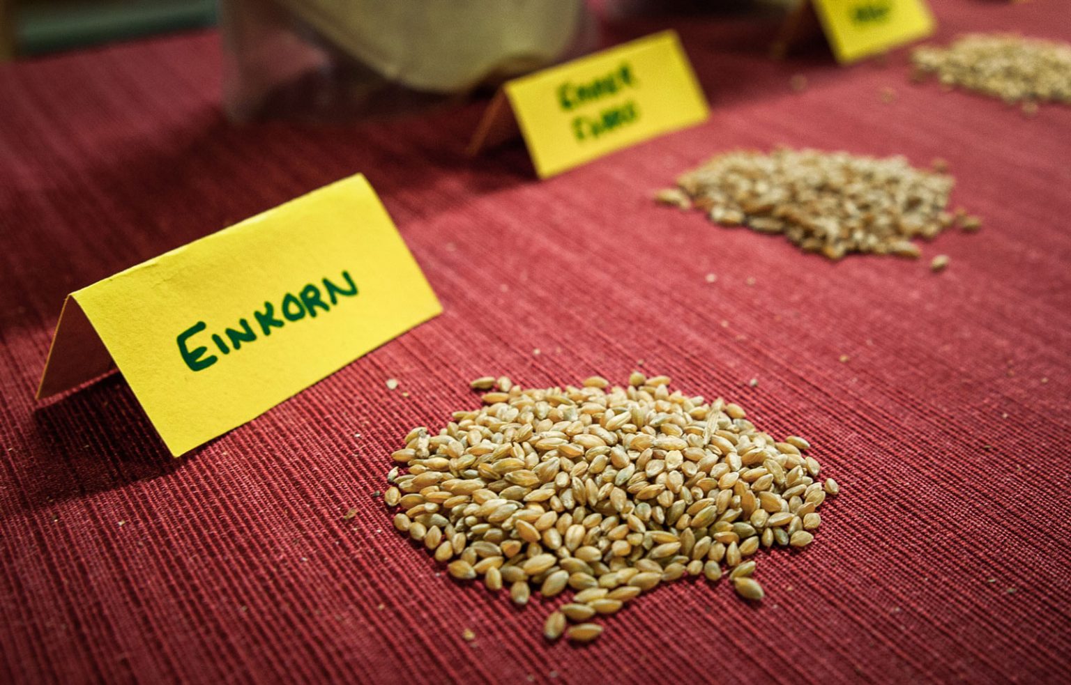Sorted piles of grain resting on a red table cloth.