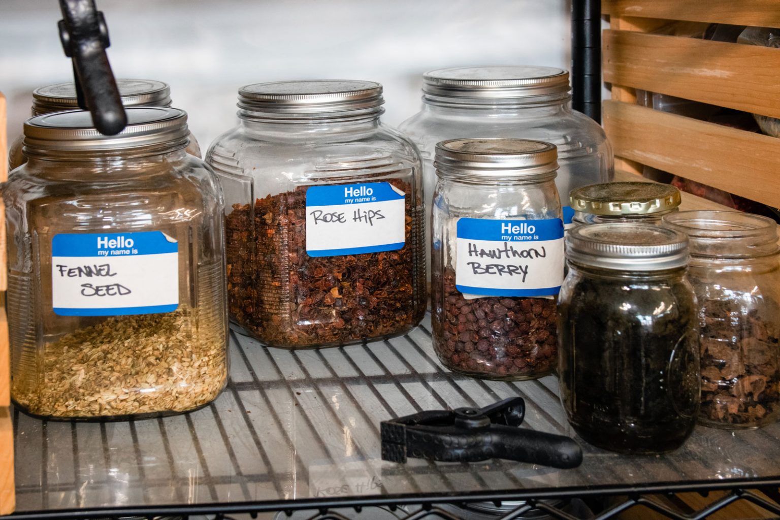 Glass jars filled with different herbs used for distilling.