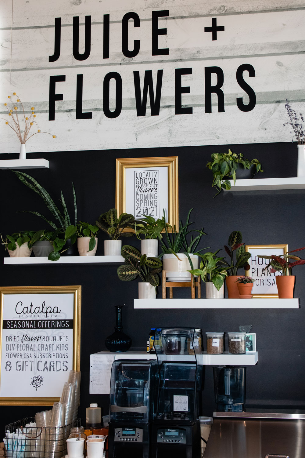 The signage and plants of Farm Girl + Catalpa.