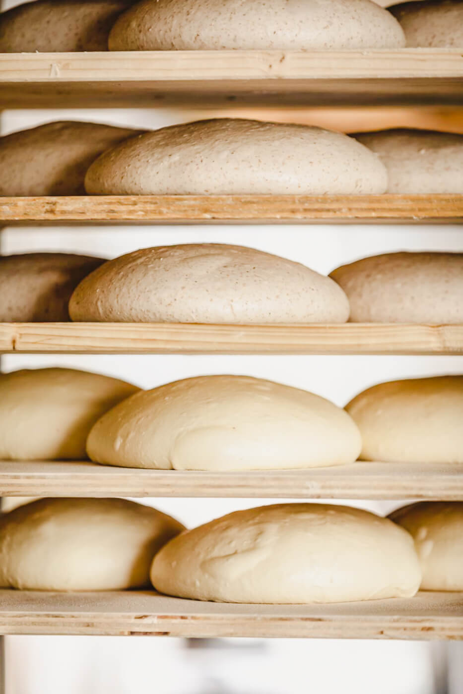 Dough set out waiting to be baked.