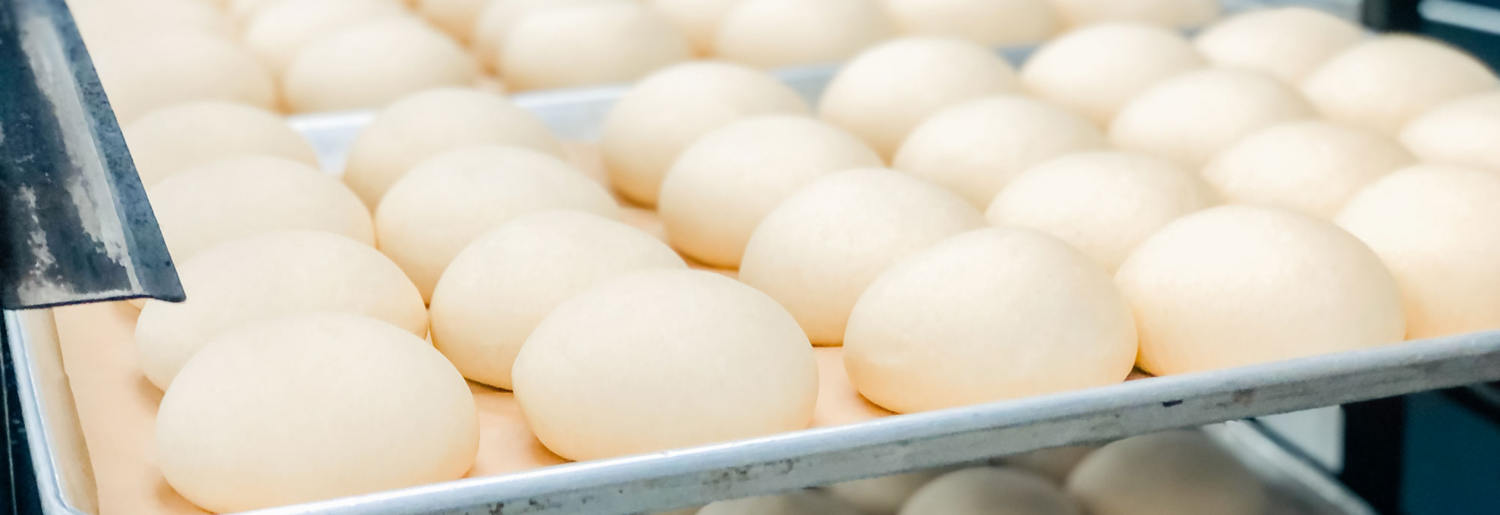 Freshly made buns ready for the oven.