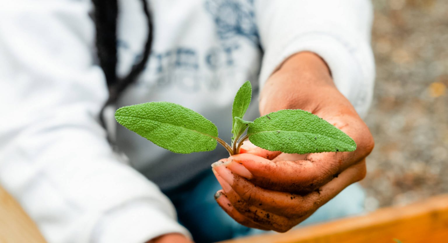 Christa holding a plant.