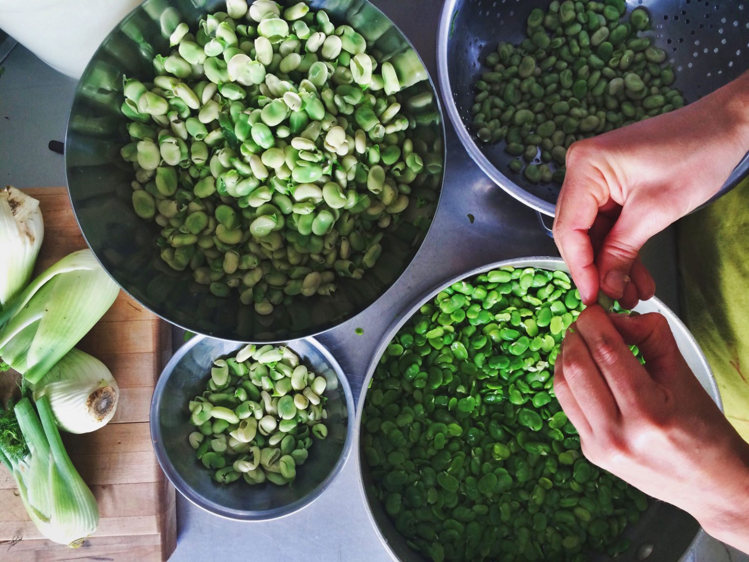 Four metal bowls of varying sizes filled with fava beans.