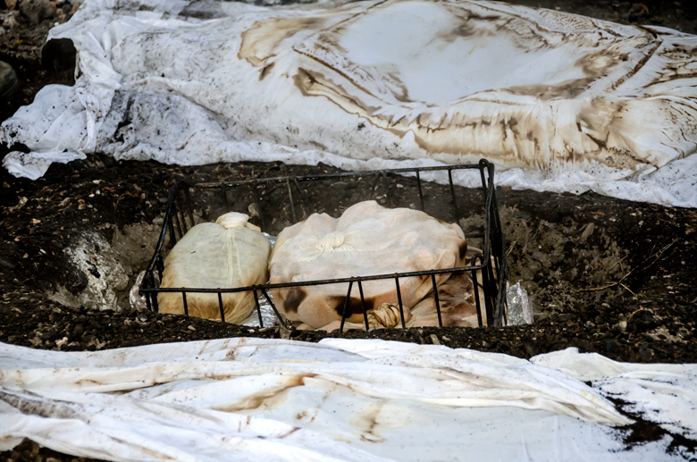 Maori hangi: food wrapped in wet cloth in a metal basket cooked with heated rocks in a shallow pit.