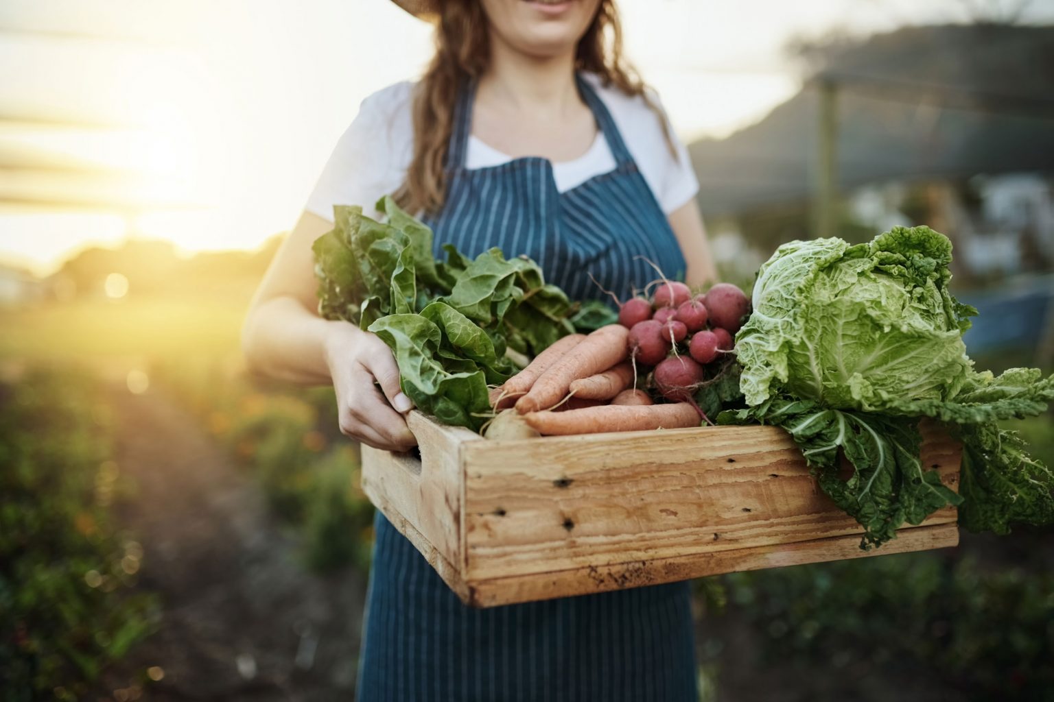 A woman carrying a wooden box of carrots, lettuce and other freshly picked vegetables.