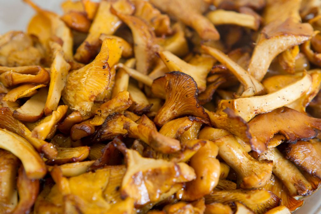 Fried oyster mushrooms strewn about.