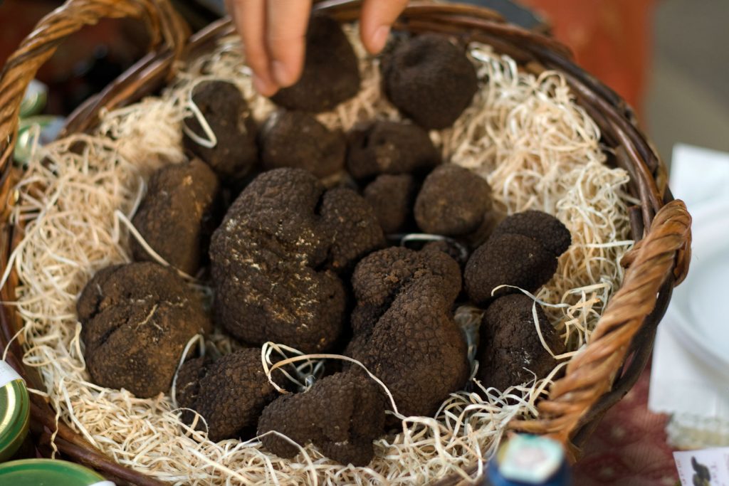 A small basket filled with black truffle mushrooms.