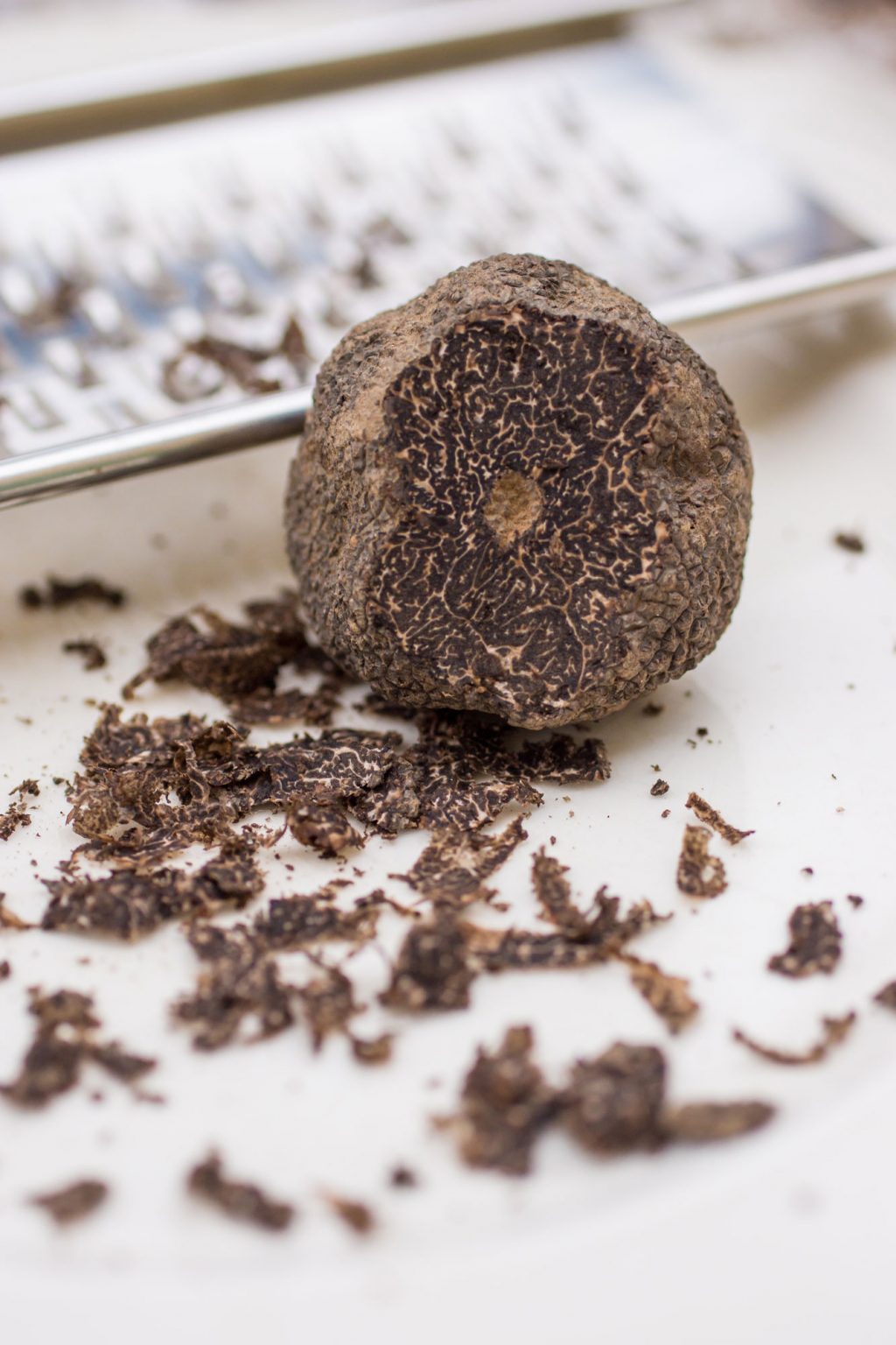 A single black truffle mushroom.