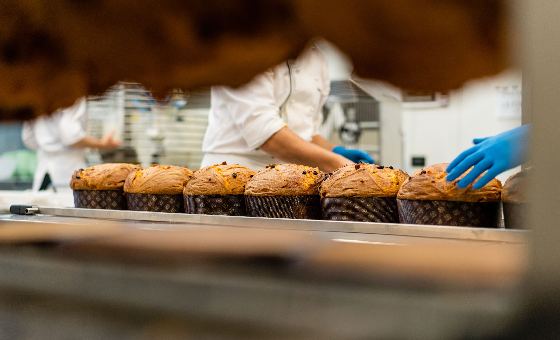 Loaves of fresh panettone laid out in a neat row.