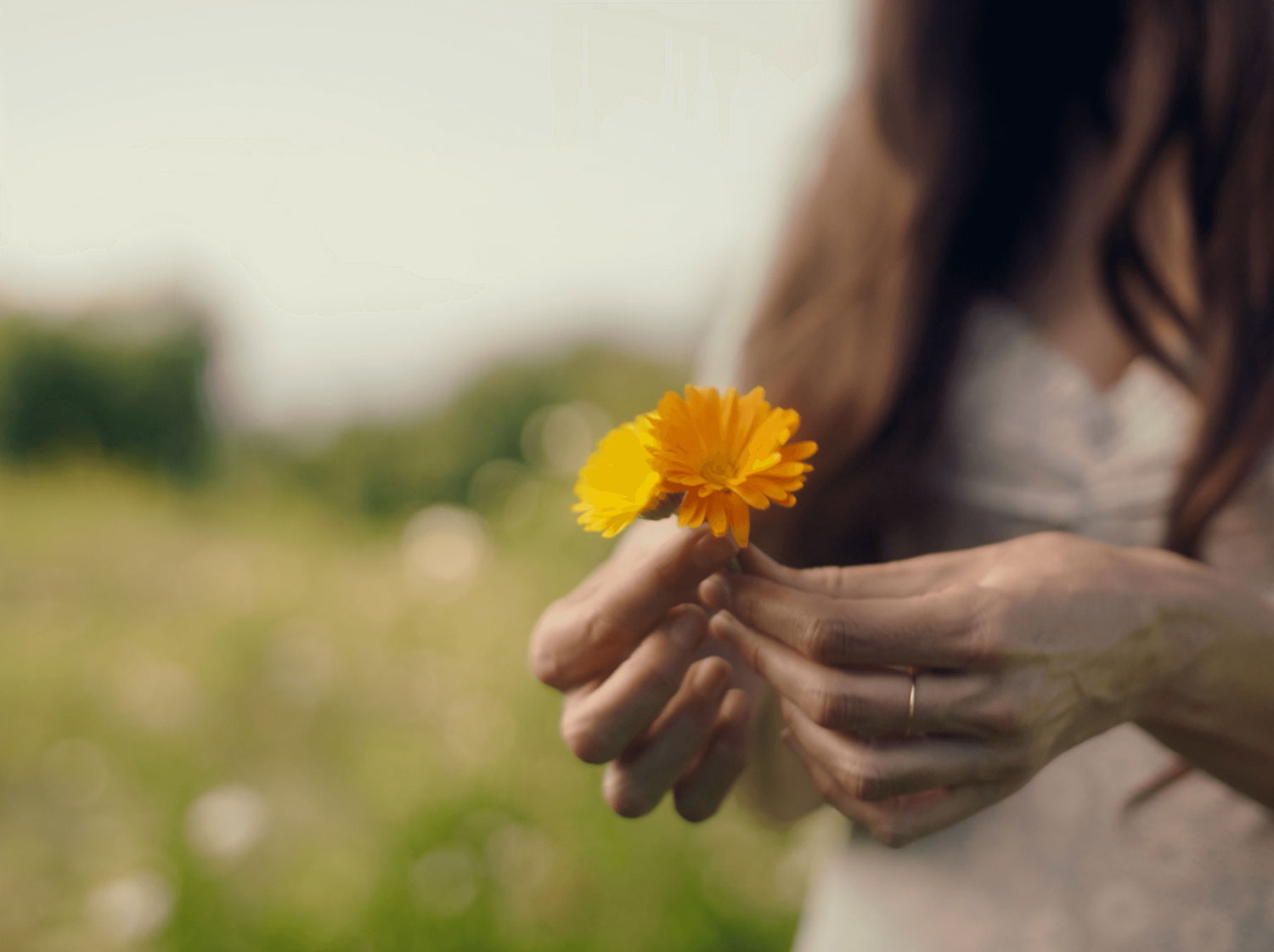 Loria Stern holding onto two delicate, little flowers.