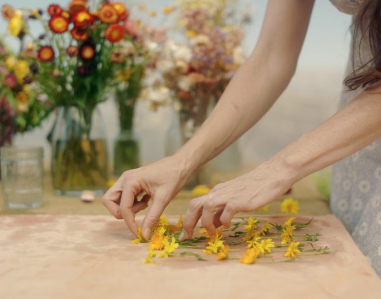 Loria Stern cleaning small, freshly picked flowers.