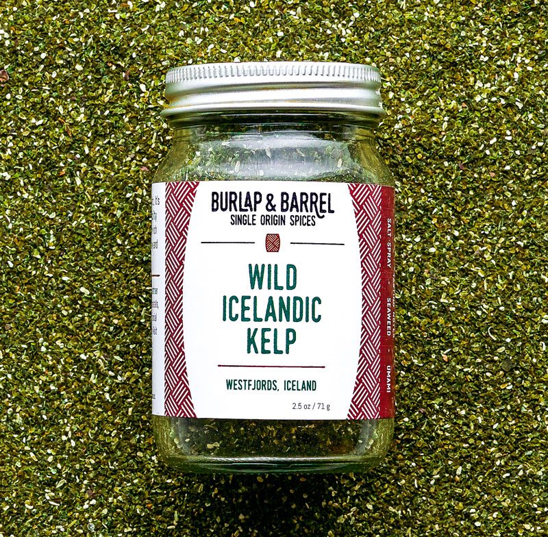 Wild Icelandic kelp in a glass jar.