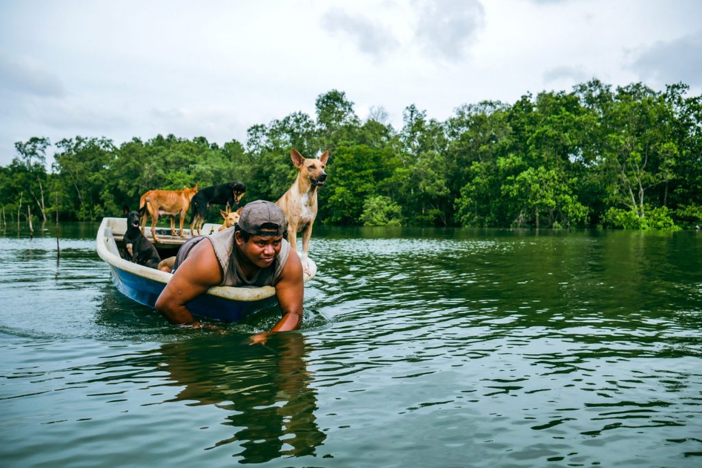A young man on a boat with his dogs.