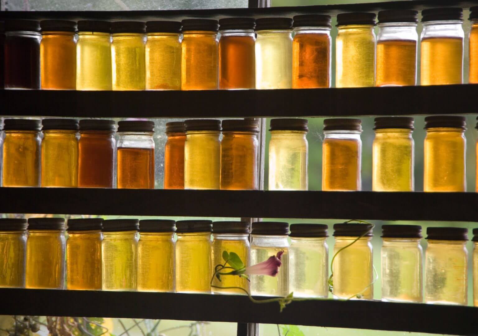 Shelves perfectly arranged with jars of syrup of varying shades of color.