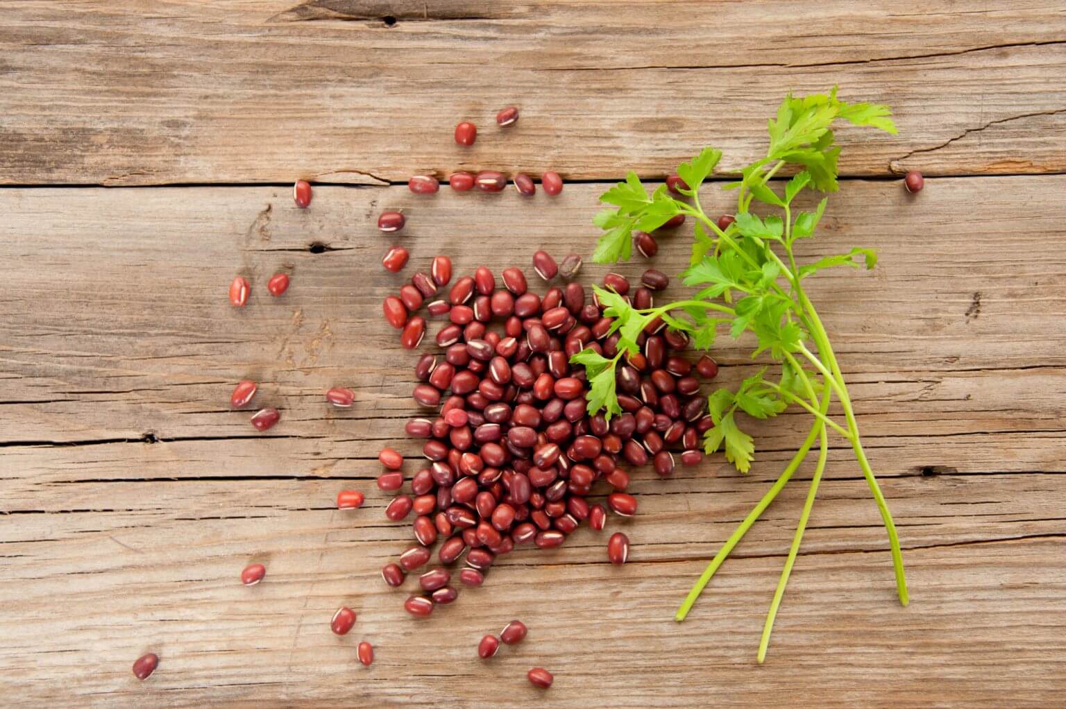 Anasazi beans and fresh cilantro resting on a clean, wooden table.