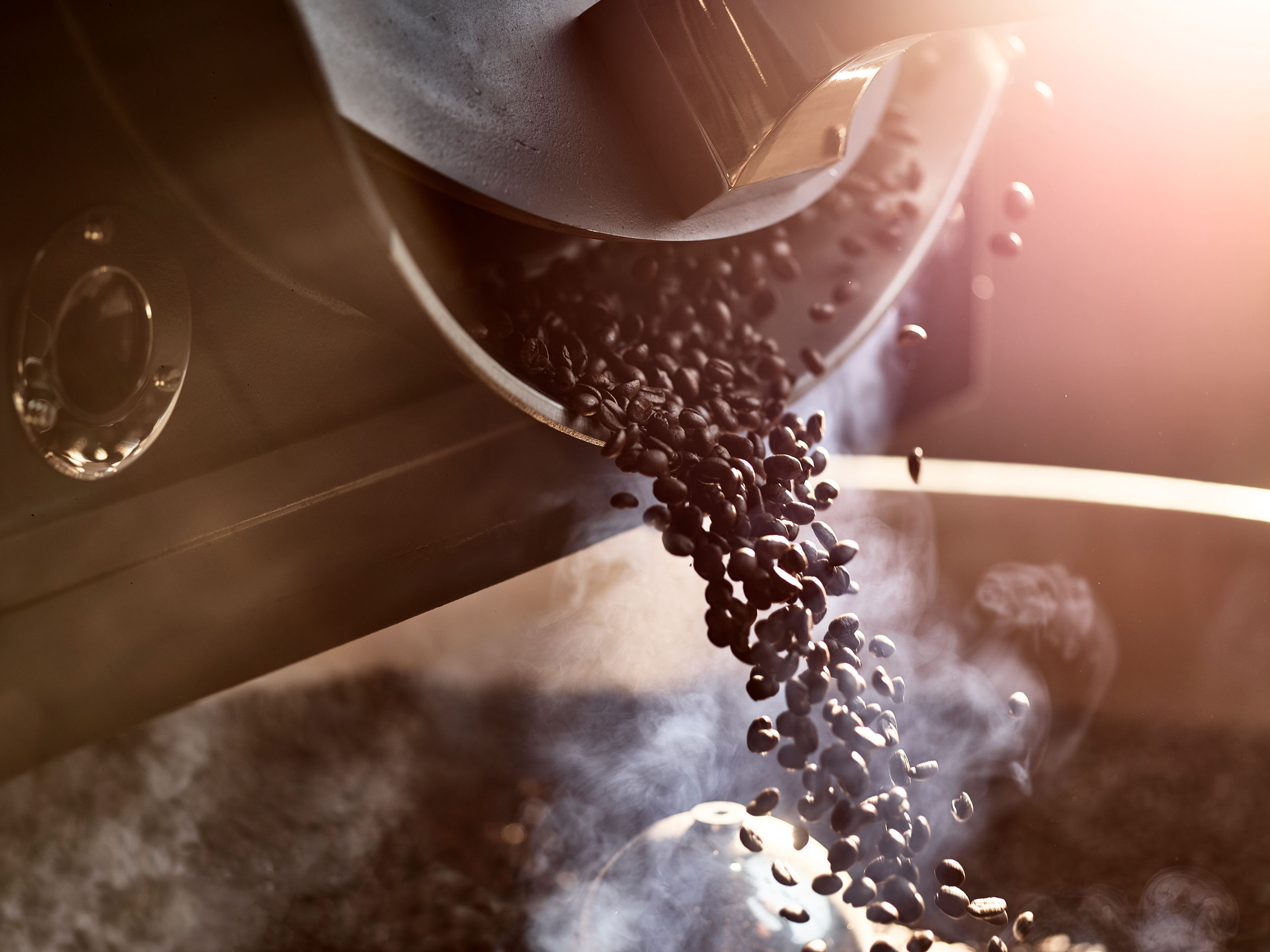 Roasted coffee beans pouring into a large container to cool.