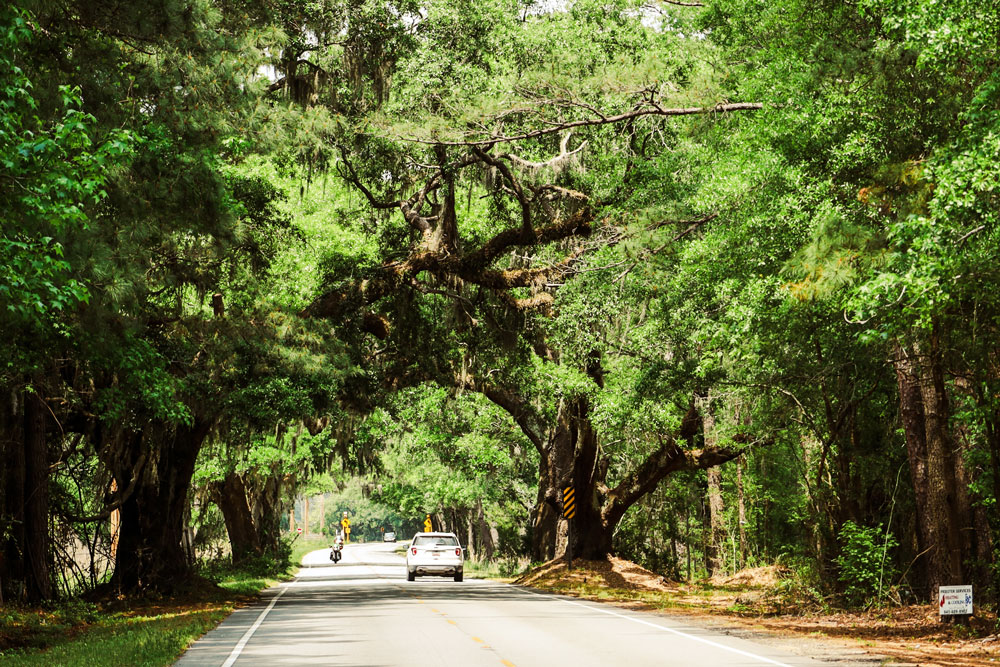Country road with a white vehicle and motorcycle driving surrounded by oak trees .