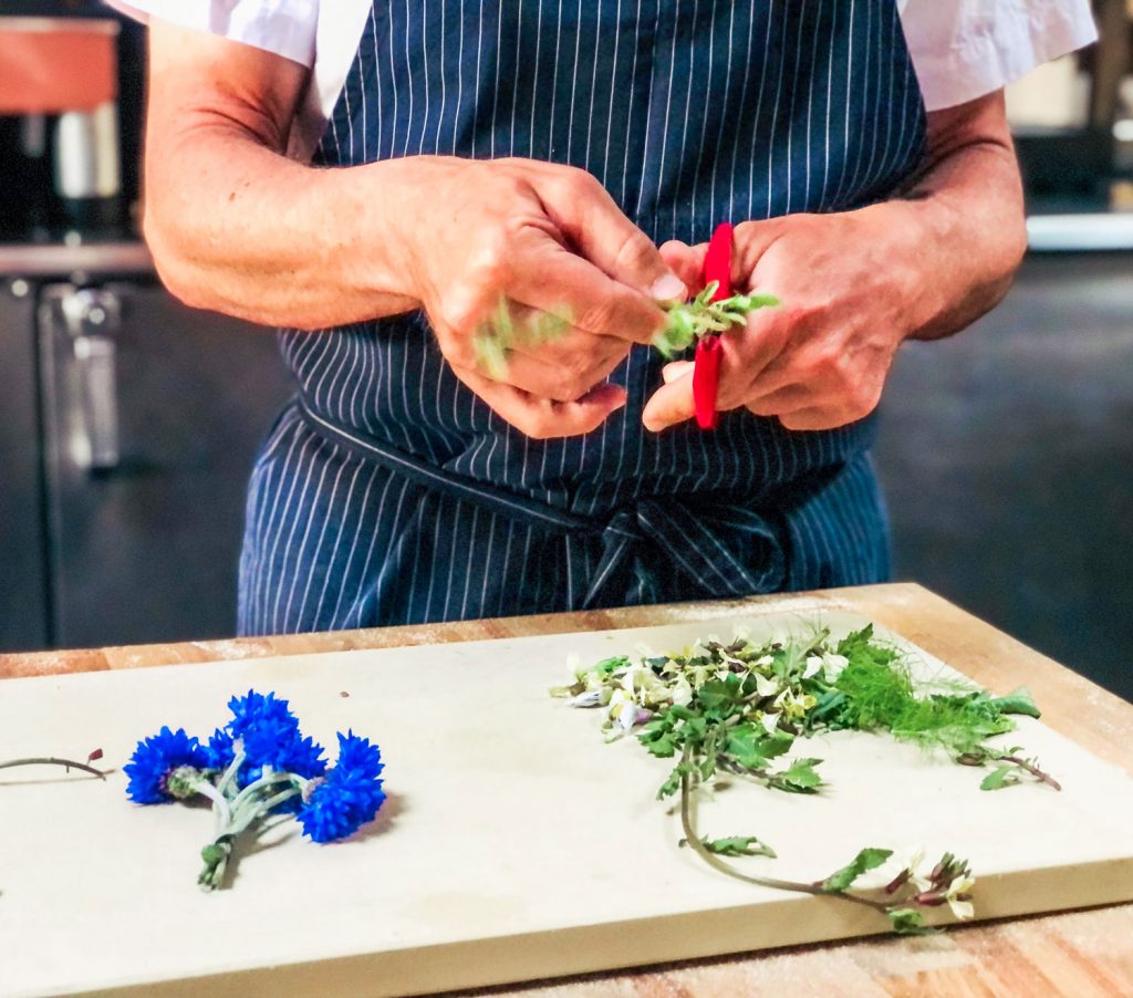 A chef gently trimming the flowers off of cilantro.