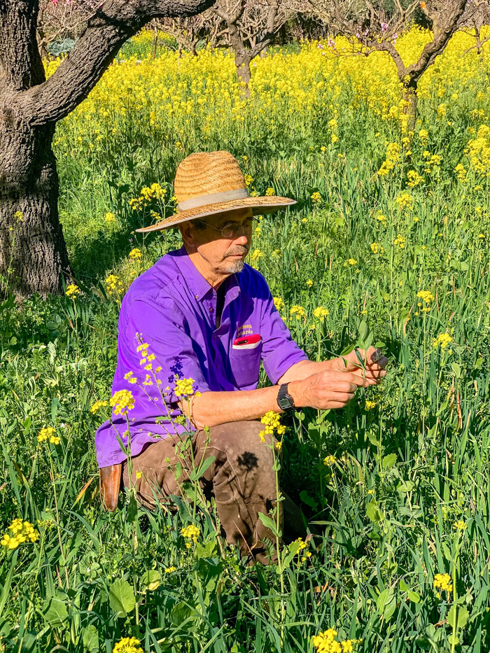 Peter Jacobsen examining flowers in a field.