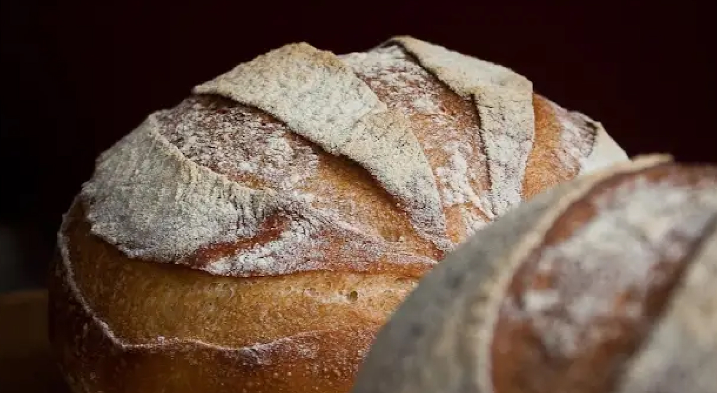 Close-up of baked sourdough bread scored and dusted with flour Close-up of baked sourdough bread scored and dusted with flour