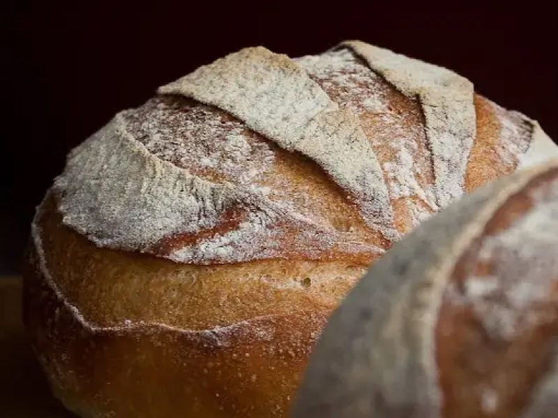 Close-up of baked sourdough bread scored and dusted with flour Close-up of baked sourdough bread scored and dusted with flour