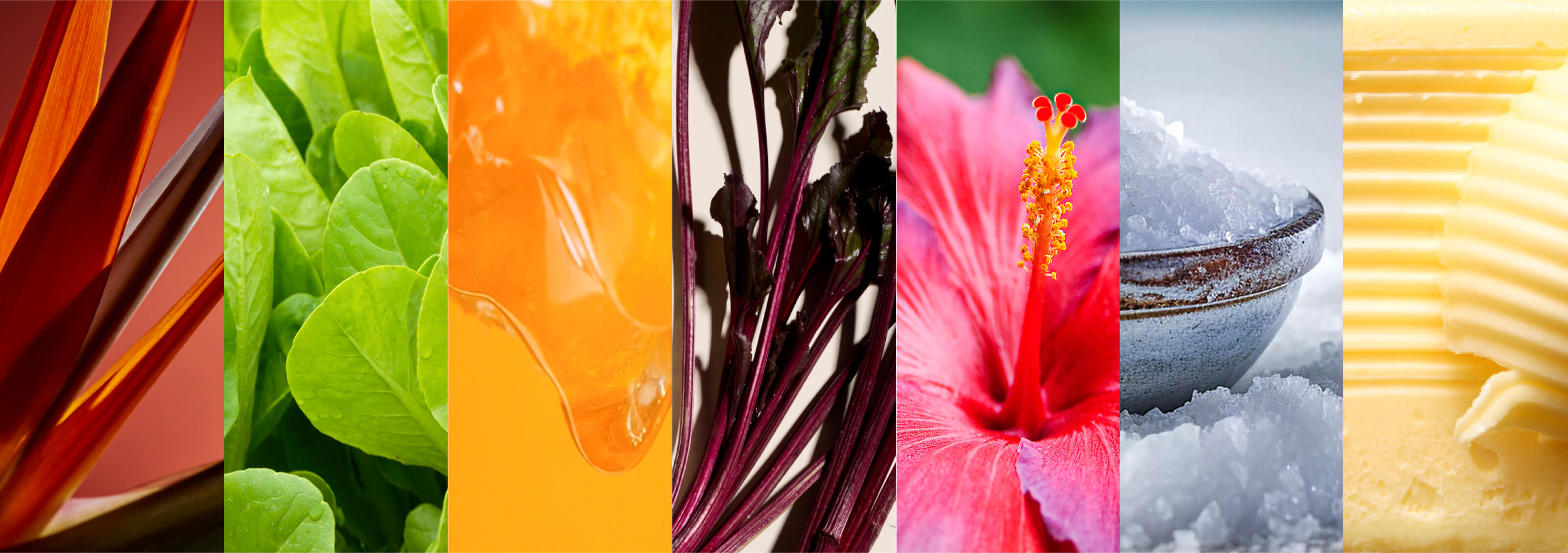 An image showing the progression of Colors of the Year, from left to right, represented by the Bird of Paradise flower, greens, honey, beetroots, a hibiscus flower, blue salt and butter.