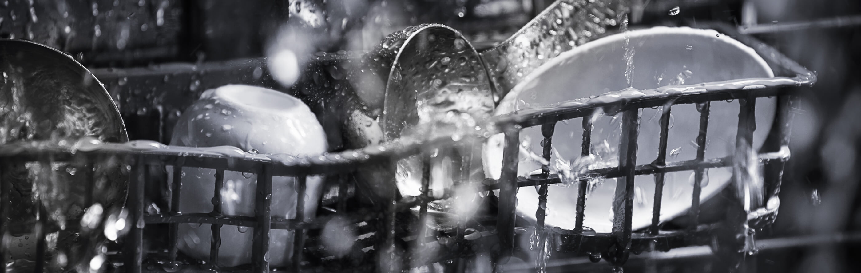 Close-up of dishes rinsing inside of a dishwasher