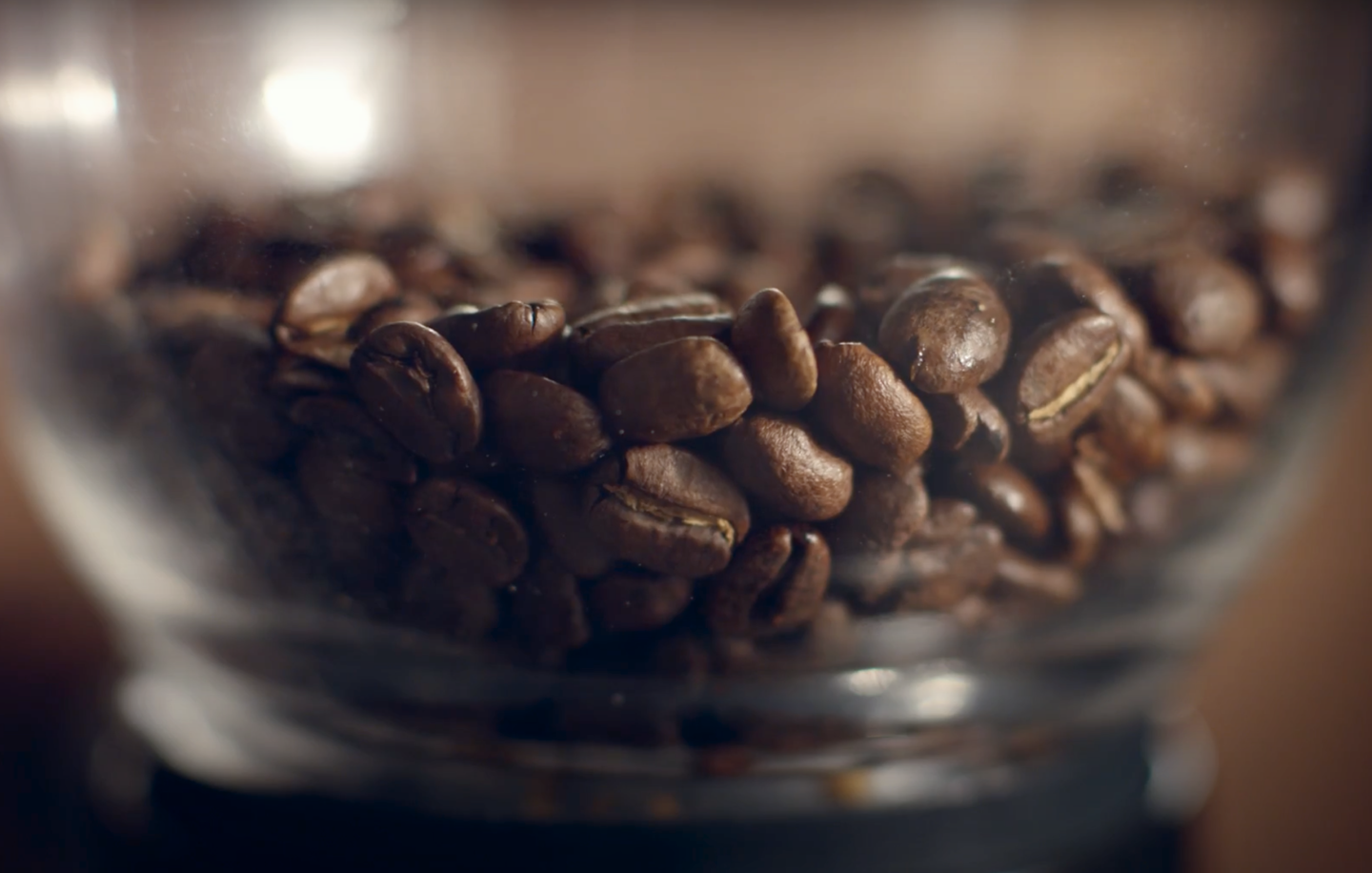 Fresh coffee beans Fresh coffee beans