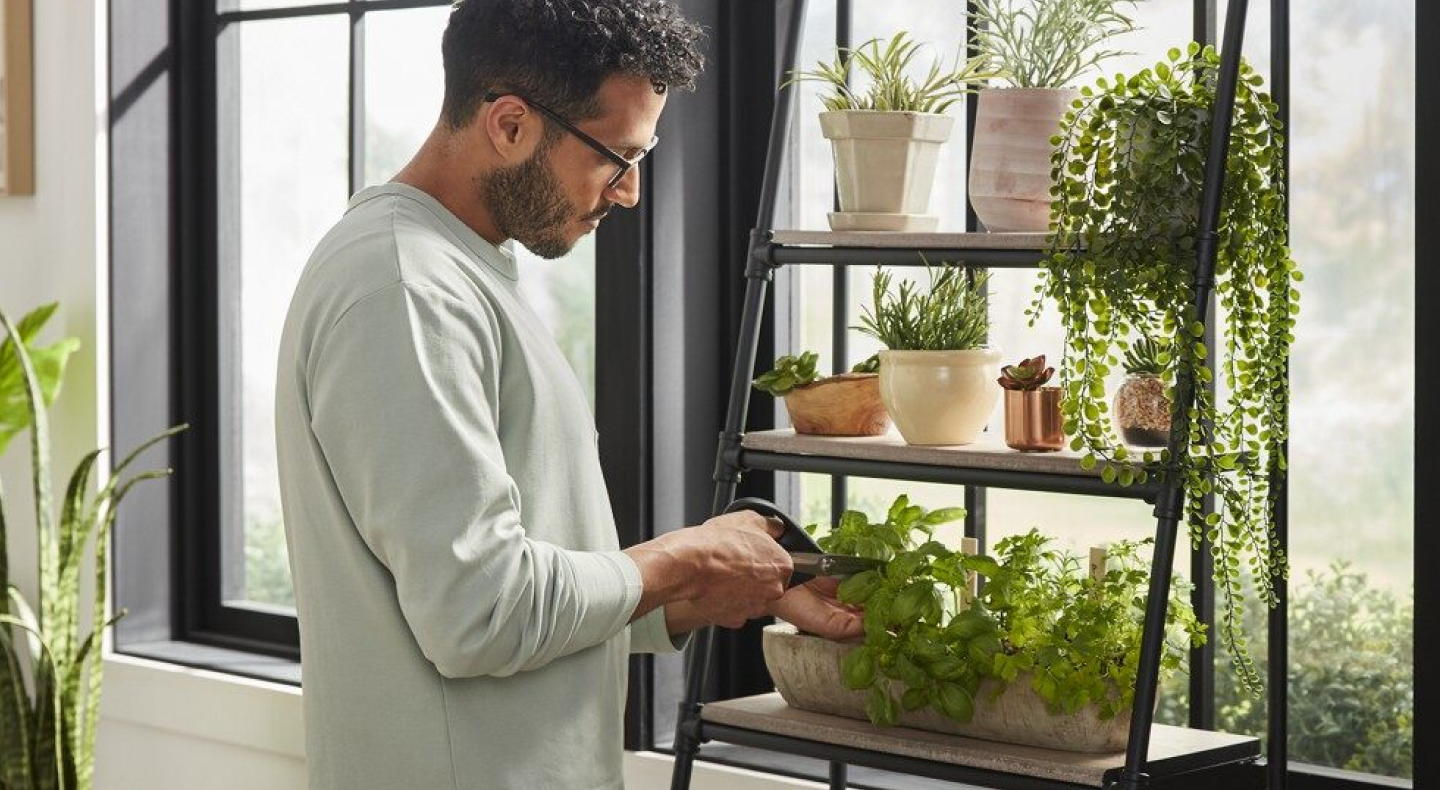 Man tending to his indoor herb garden Man tending to his indoor herb garden