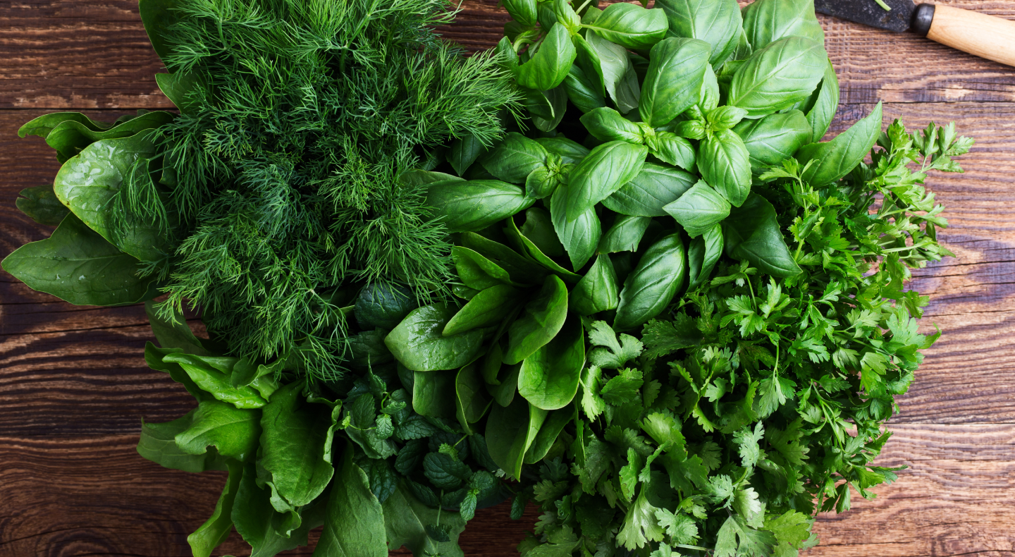 Bundle of assorted fresh herbs Bundle of assorted fresh herbs