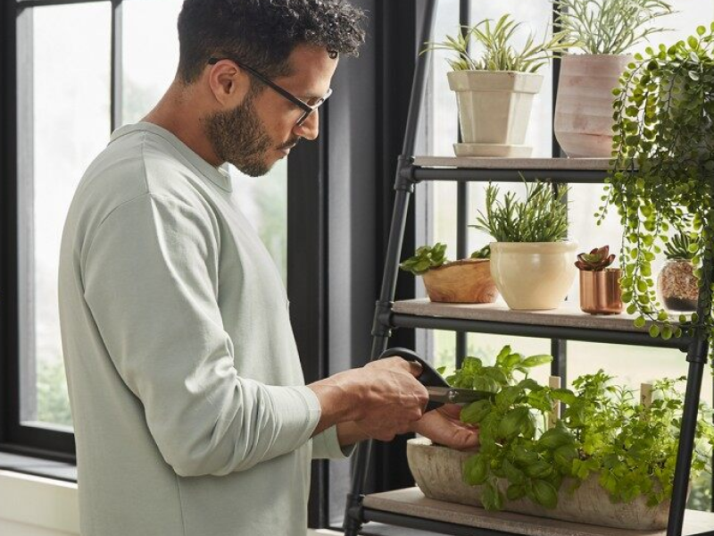 Man tending to his indoor herb garden Man tending to his indoor herb garden