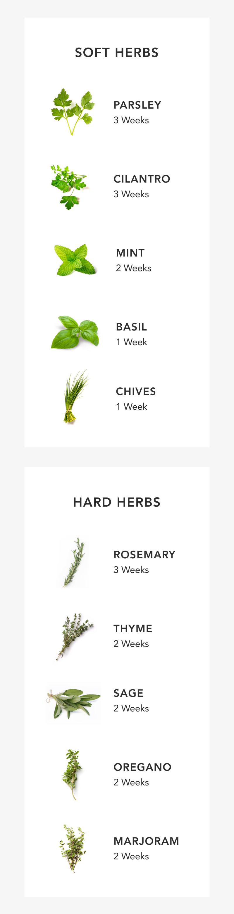 Infographic of herbs and how to store them Infographic of herbs and how to store them