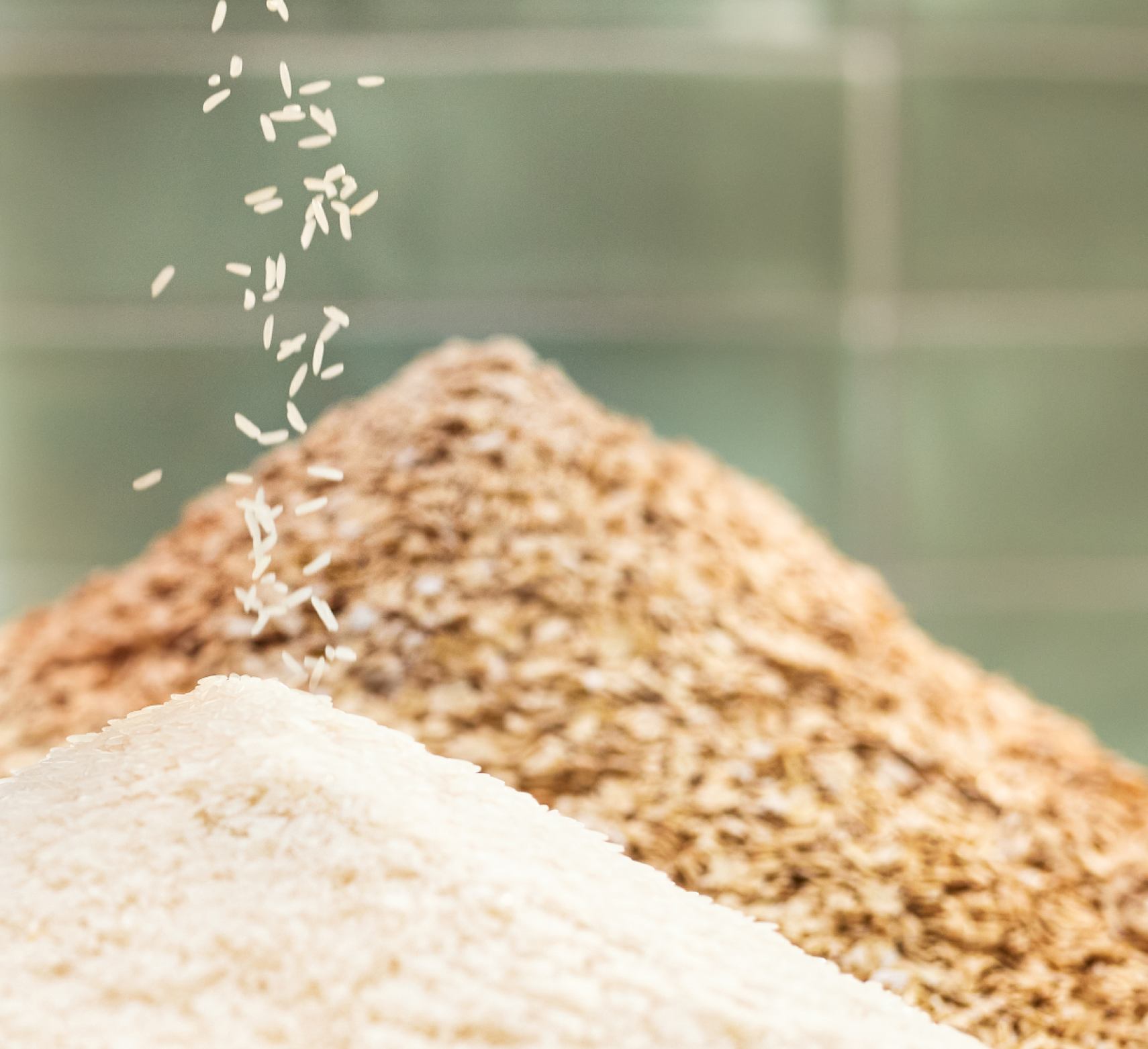 Large pile of uncooked rice