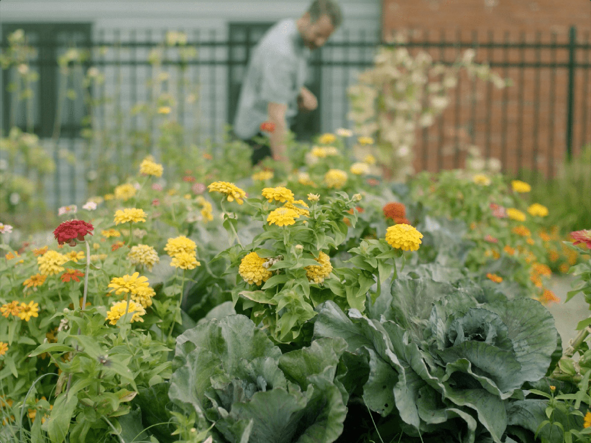 Blooming flowers with Mike Moore in the distant background.