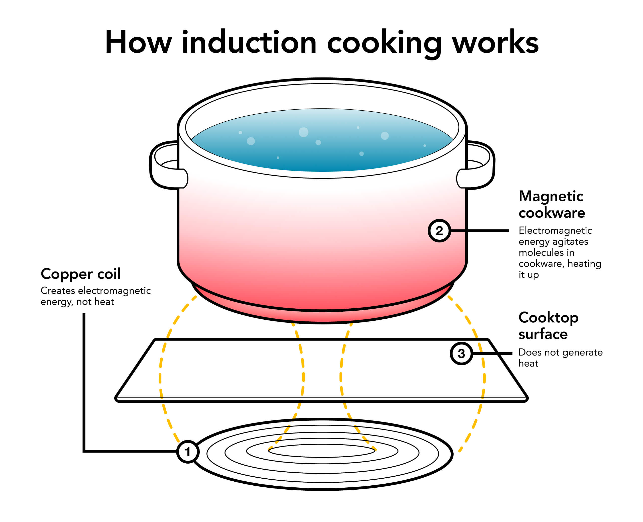 Induction cooking infographic