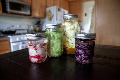 A Beginner’s Guide to Fermentation