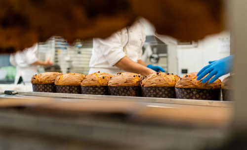 Nicola Olivieri’s Holiday Panettone