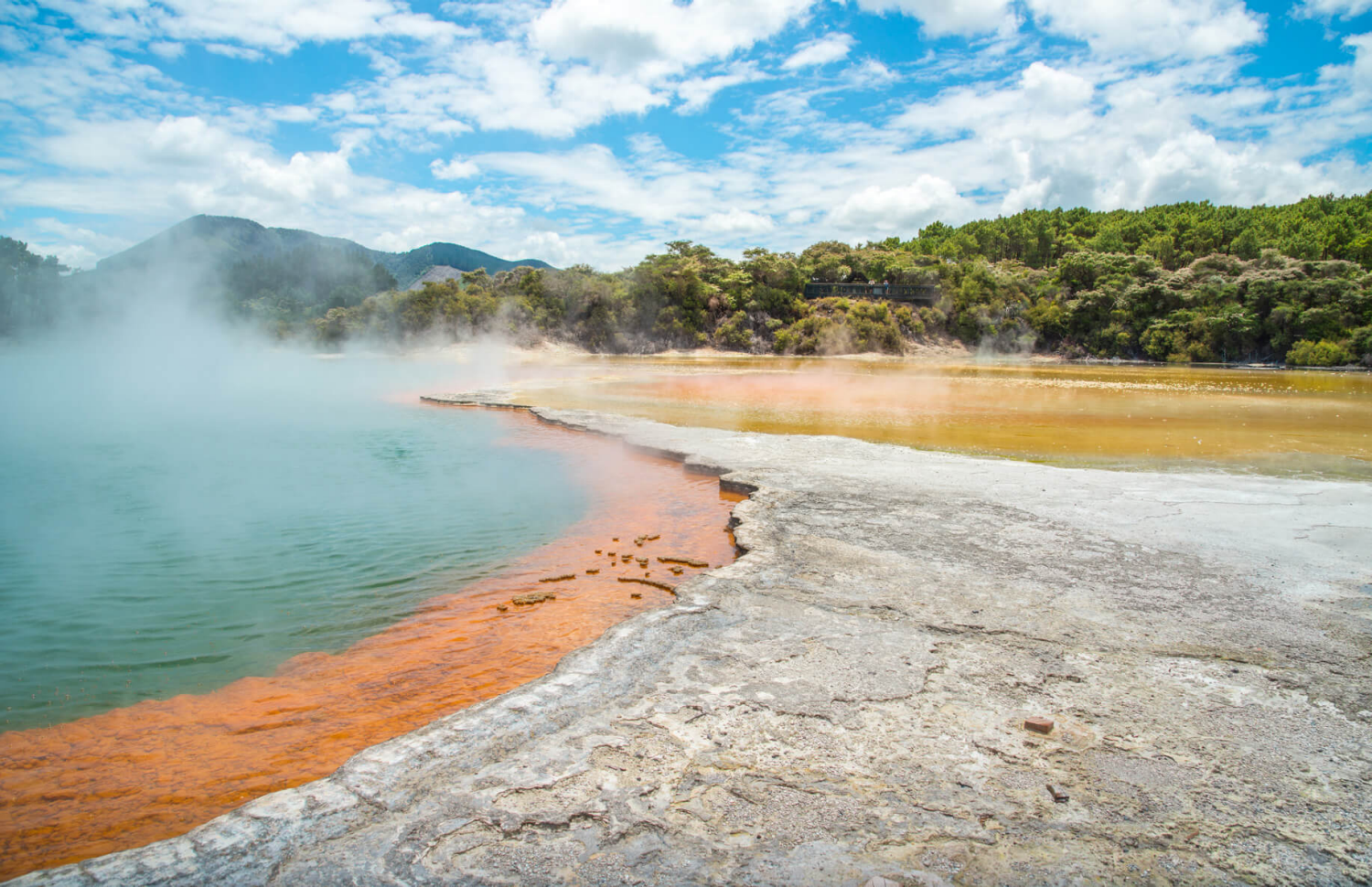 Distinctive Process: Maori Hangi