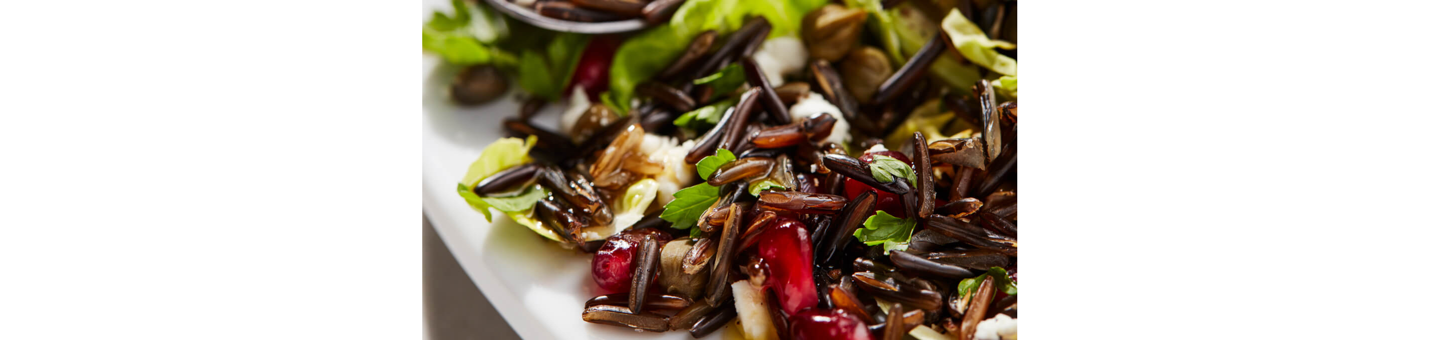 A colorful grain bowl.