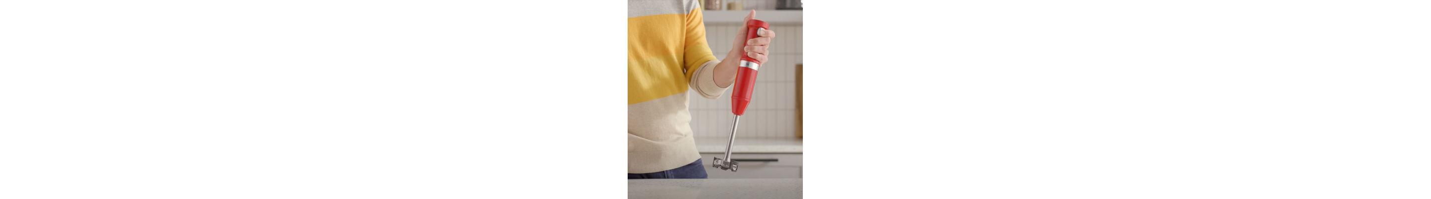 Immersion Blender
