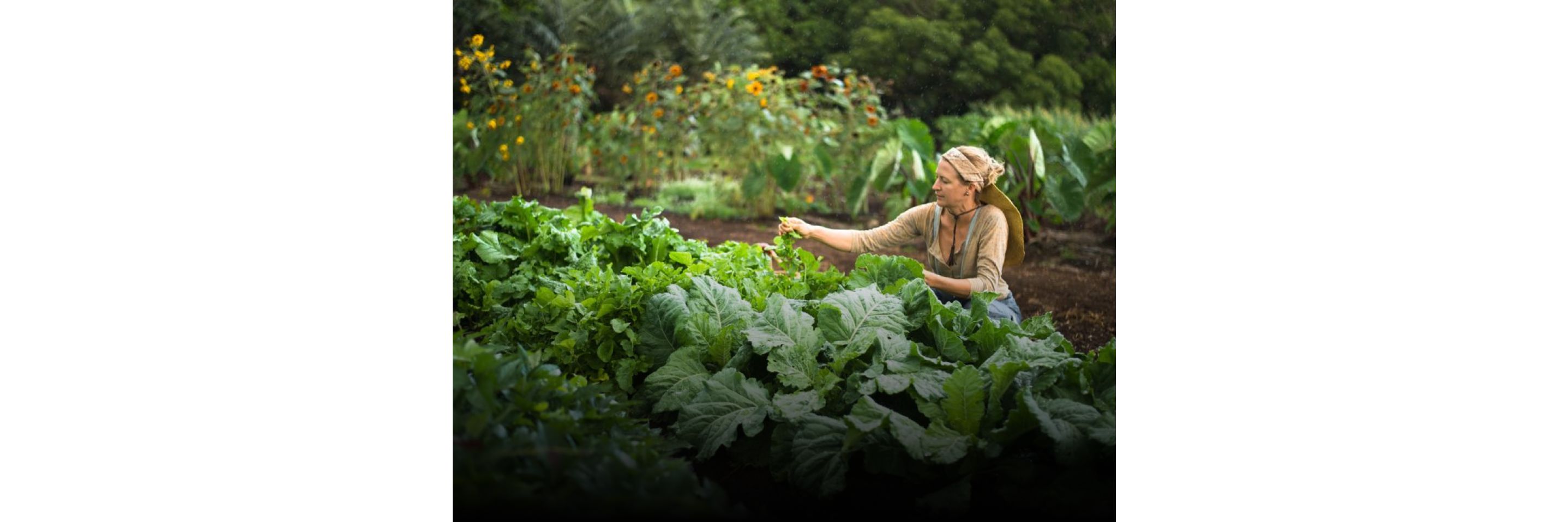 A person working in a lush garden.