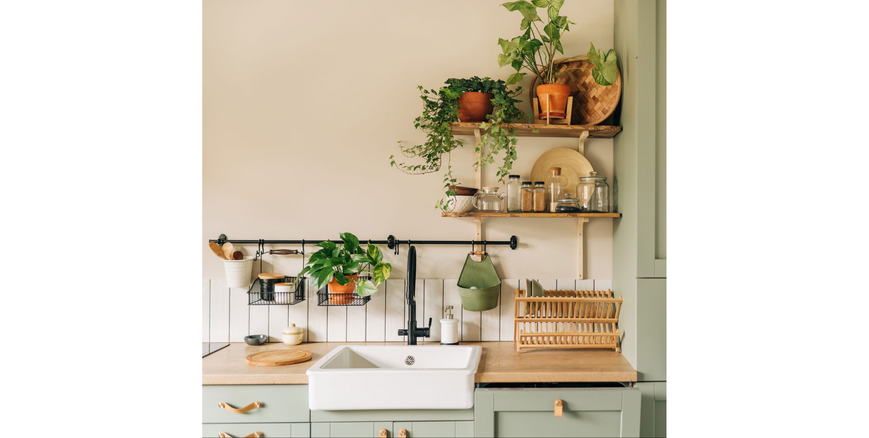A bright kitchen filled with greenery.